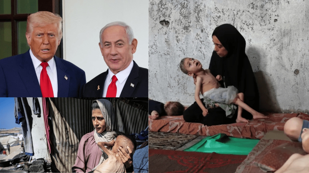 On Monday, the Gaza health ministry said at least 14 people had died in the past 24 hours of starvation and malnutrition. On Monday, the Gaza health ministry said at least 14 people had died in the past 24 hours of starvation and malnutrition.