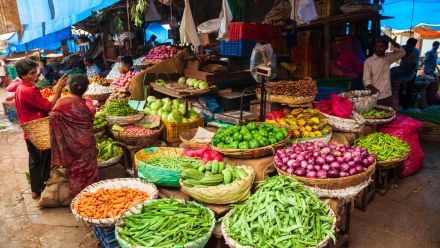 Vegetable vendor GST on UPI payments Vegetable vendor GST on UPI payments