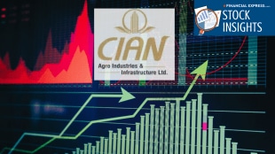stocks, market, Cian Agro Industries and Infrastructure, Healthcare, Personal Care, Home Care