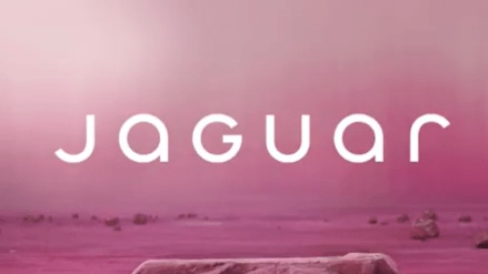 Jaguar Land Rover has lowered its profit expectations in light of the collapse and is dealing with significant revenue losses.