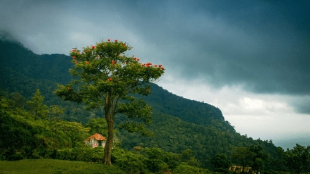 The Bench directed the State government to issue fresh instructions to Forest Department officials to ensure compliance with the ruling.