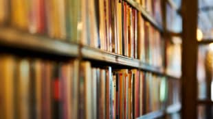 history books, curriculum, history, Nalanda University, Buddhist institution