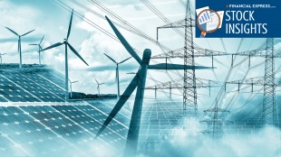 green energy, RE, Waaree Energies, Acme Solar, renewable energy, Premier Energies