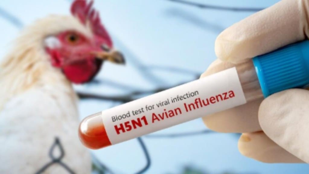 Signs of bird flu in humans
