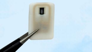 Implantable device for diabetes