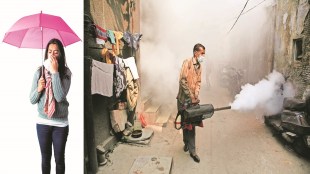 rainy season, healthcare, monsoon, health, doctors, malaria, dengue, chikungunya