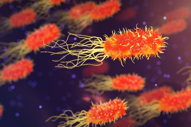 Fungal InfectionsThe persistent dampness in the air during monsoon creates a perfect environment for fungal infections to flourish-especially in areas of the body like feet, underarms, groin, and between fingers. These infections may manifest as itchy red rashes, scaling skin, or even cracked heels and toenail issues due to constantly wet footwear. (Image: Pixaby)