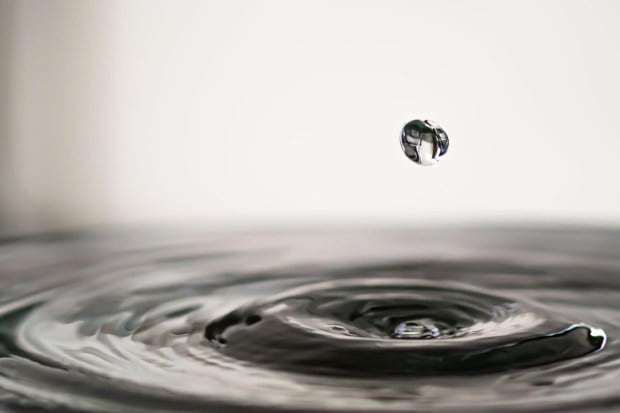 Ensure there is no water stagnation around your home. Use bed nets while sleeping, especially if you live in an area prone to mosquito breeding, and consider using indoor insecticide sprays if needed. (Image: Pixaby)