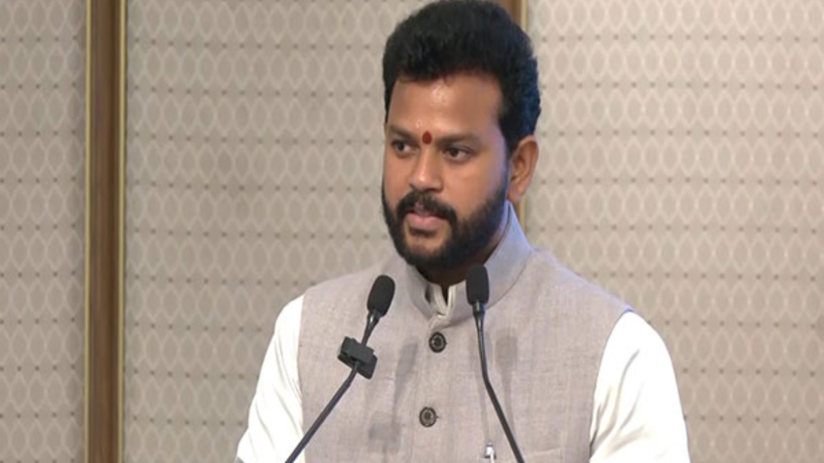 No conclusions till final report: Minister