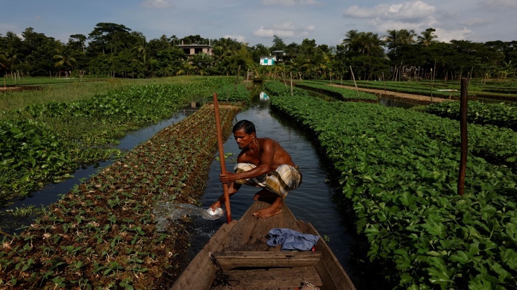 Crop insurance, economy, crops, agriculture, PMFBY, insurance