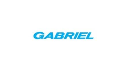 Gabriel India Unveils Major Restructuring to Diversify into Mobility Solutions, Eyes Rs 50,000 Crore Revenue by 2030. (Image Source: Linkedin) Gabriel India Unveils Major Restructuring to Diversify into Mobility Solutions, Eyes Rs 50,000 Crore Revenue by 2030. (Image Source: Linkedin)
