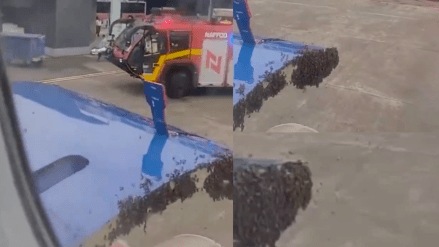 The IndiGo flight took off from Surat after a delay of one hour at 5:26 pm. It was originally scheduled for departure at 4:20 pm. The flight landed in Jaipur at 6:31 pm. 