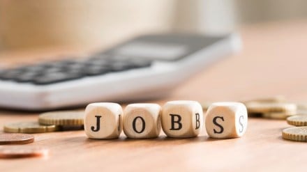 jobs, employees, Entrepreneurship, startup India, Viksit Bharat