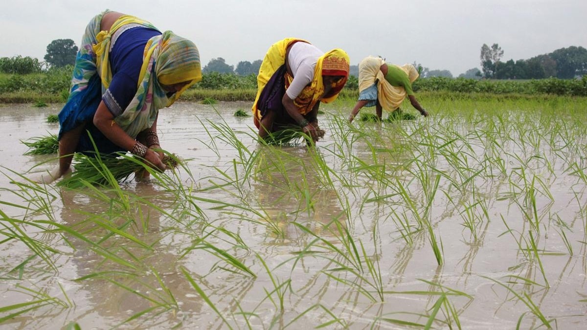economy, kharif crops, met department, agriculture ministry
