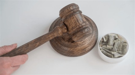 Compliance leads to unsustainable margins, while tax evasion remains the more profitable route Compliance leads to unsustainable margins, while tax evasion remains the more profitable route