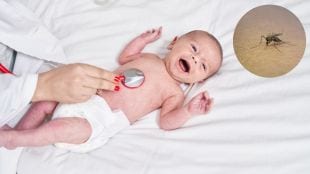 First-ever malaria treatment for babies