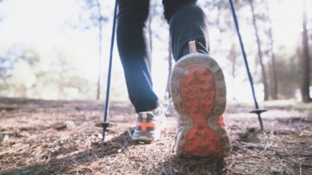 Nordic walking for weight loss