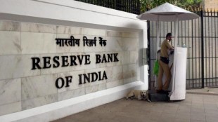 The Reserve Bank of India (RBI)