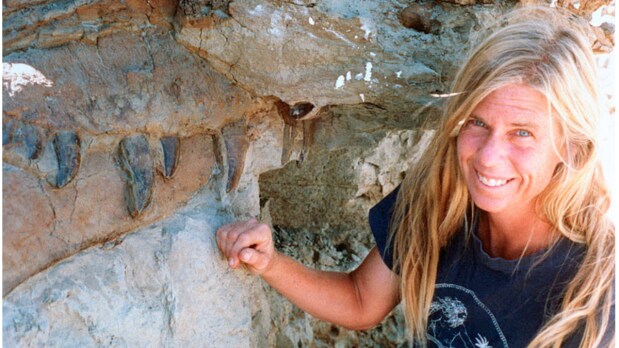 On August 12, 1990, fossil hunter Sue Hendrickson made one of the most significant paleontological discoveries ever recorded — the remarkably complete remains of a Tyrannosaurus rex in South Dakota’s Cheyenne River Indian Reservation. Nicknamed “Sue” after its discoverer, this skeleton is recognised as the largest and most intact T. rex ever found, with approximately 90% of the bones recovered. This discovery revolutionised scientific understanding of T. rex biology, behaviour, and evolution. It enabled researchers worldwide to perform detailed studies of its anatomy, growth patterns, and possible injuries, shedding light on the life of one of the most famous predators in Earth's history. “Sue” remains on display at the Field Museum in Chicago, inspiring generations with its haunting presence and scientific importance. (Photo Source: Field Museum)