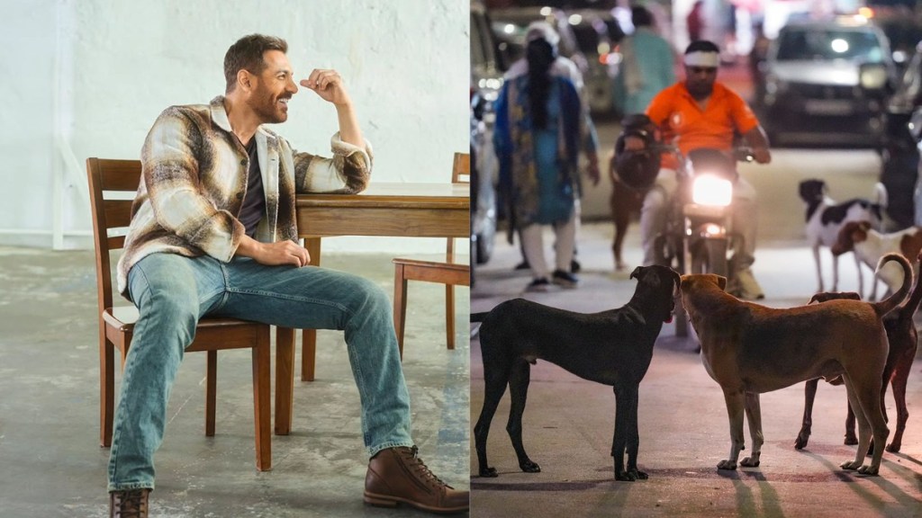 john abraham, stray dogs order, sc order, sc stray dogs order, dogs john abraham, stray dogs order, sc order, sc stray dogs order, dogs