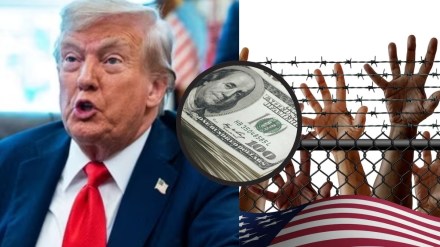US immigrants face $6.1 billion in fines under Trump deportation orders US immigrants face $6.1 billion in fines under Trump deportation orders