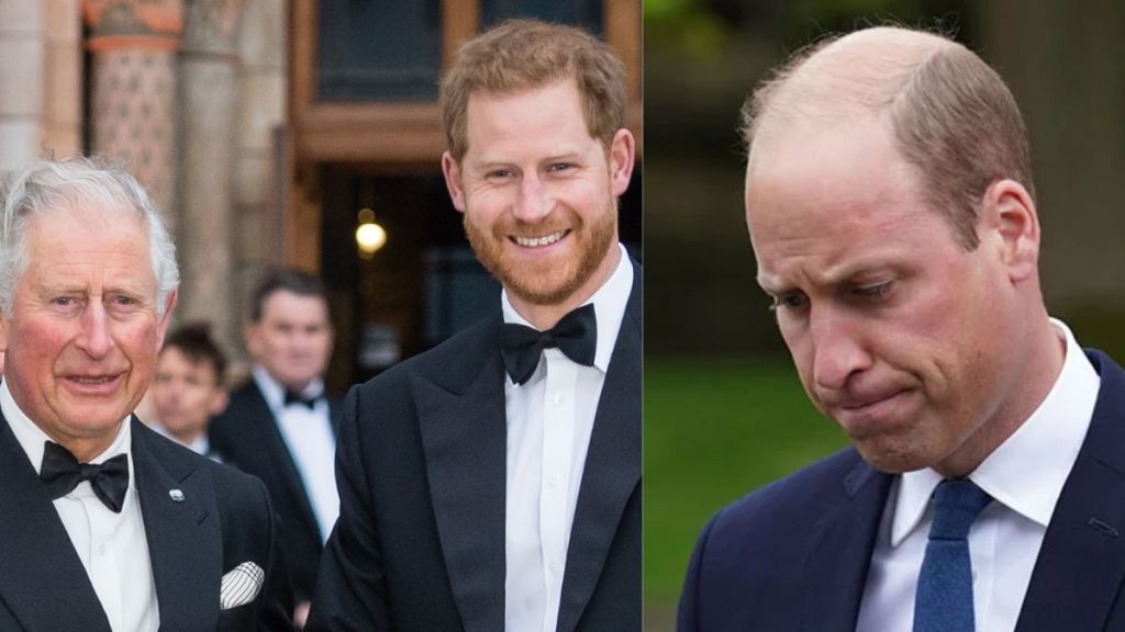Prince Harry to finally meet King Charles after 20 months, but Prince William bows out