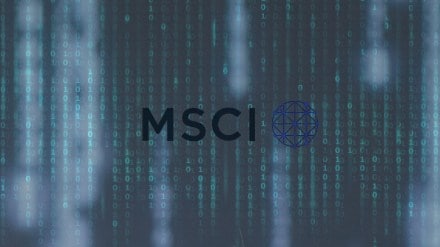 MSCI India Standard Index August rejig