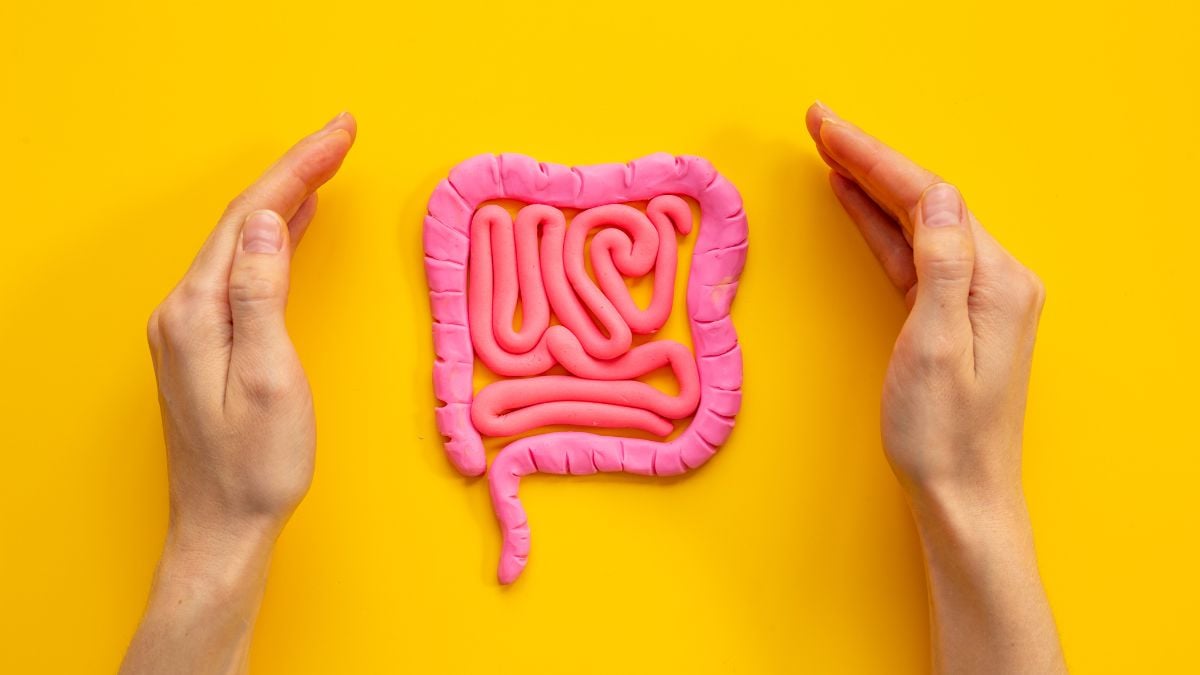 gut health how to improve gut heatlh