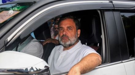 rahul gandhi, pm modi, india us trade deal rahul gandhi, pm modi, india us trade deal