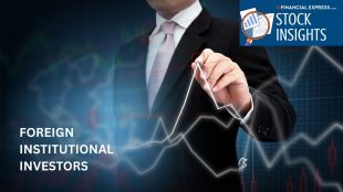 FII small cap investment