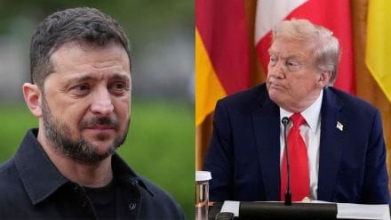 donald trump zelenskyy