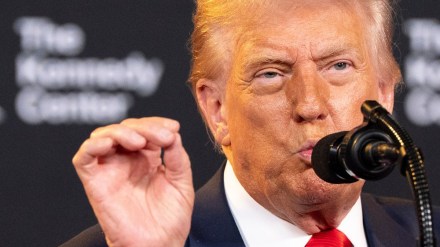 donald trump museum comment