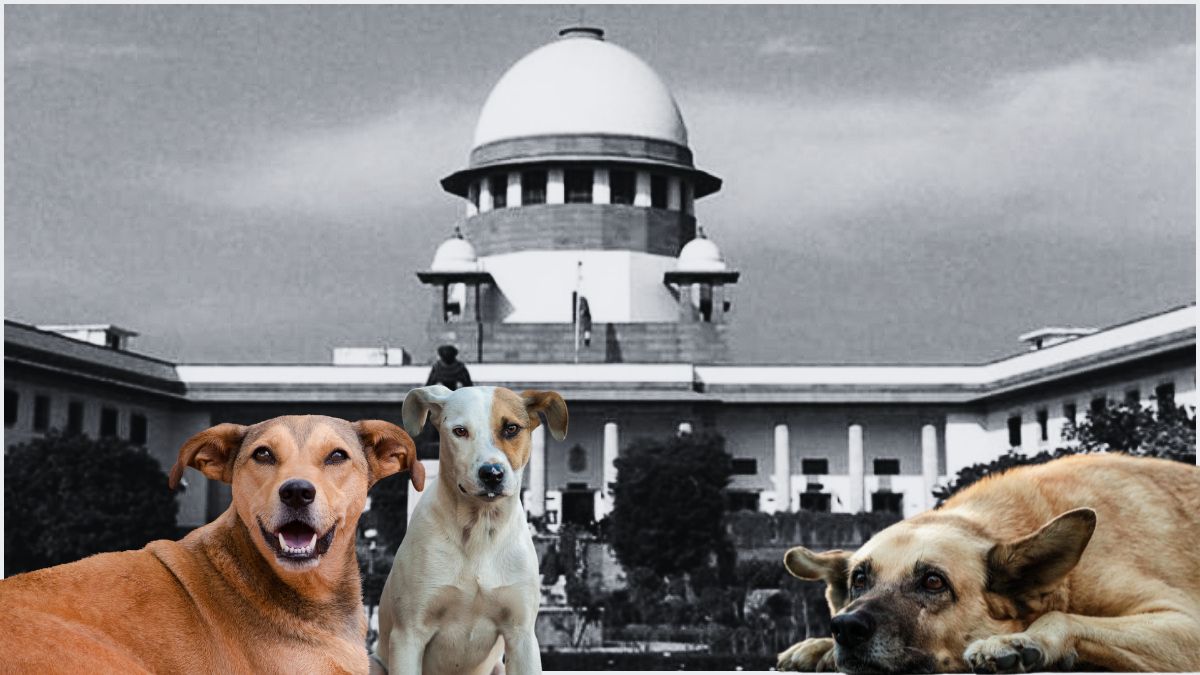 Supreme Court to deliver verdict on stray dog relocation today