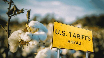 India exempts cotton import duty to aid garment exporters amid US tariff hike