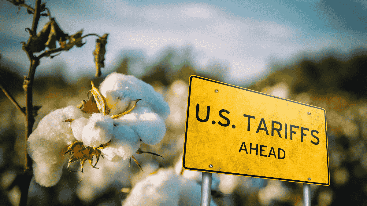 India exempts cotton import duty to aid garment exporters amid US tariff hike India exempts cotton import duty to aid garment exporters amid US tariff hike