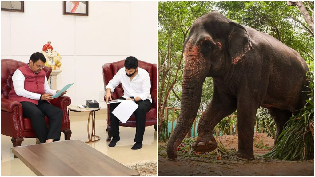 Madhuri elephant, Vantara statement on Madhuri, Madhuri relocation,