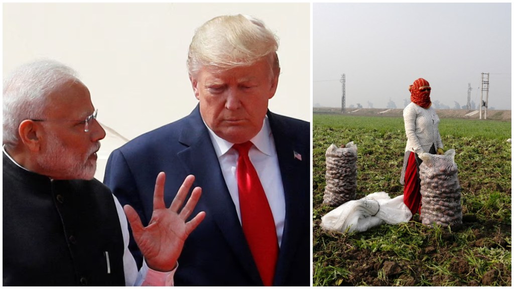 Agricultural trade booming between India and the US Agricultural trade booming between India and the US