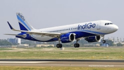 IndiGo loss widens 2.5x on forex hit & higher expenses