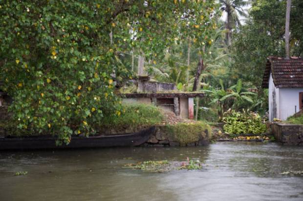Kottayam, Kerala: Kottayam thrives in the rainy season, as its backwaters and bird-rich landscapes around Kumarakom become more lively. (Photo source: Canva)