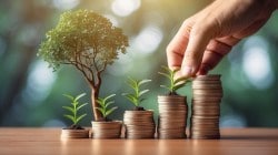 Index funds rise 48% in one year 