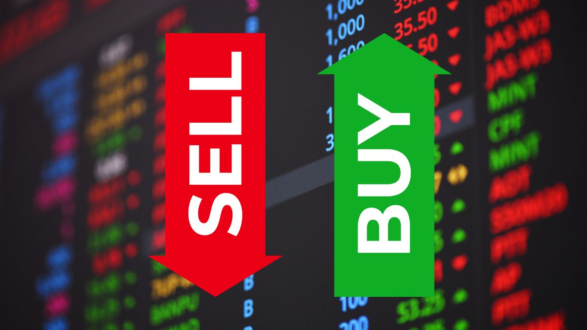 https://images.financialexpressdigital.com/2025/08/Oliviya-3-2.jpg