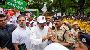 Rahul Gandhi detained, Mahua Moitra faints - What happened during chaotic INDIA bloc protest? (Photo: PTI)