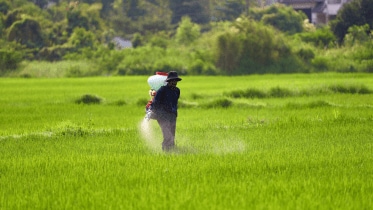 Parliamentary Panel Opposes Disinvestment, Cites Fertiliser Sector's 'Strategic' Importance. (Image Source: Canva)
