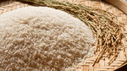 Farm & processed food exports up 10% in April-August