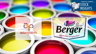 Kansai Nerolac, Asian Paints, paints, Akzo Nobel India, Berger Paints, Indigo Paints
