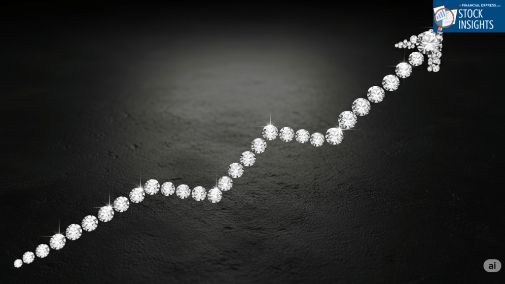 P N Gadgil Jewellers, Titan Company, Tata Group, Kalyan Jewellers, jewellery