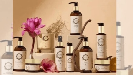 The products are organised under four distinct ingredient-led ranges, each designed to offer specific benefits.