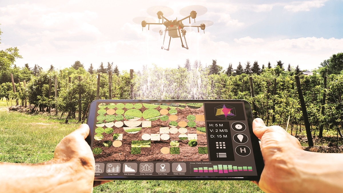 Elon Musk, Artificial intelligence, DeepSeek, Gork, entertainment