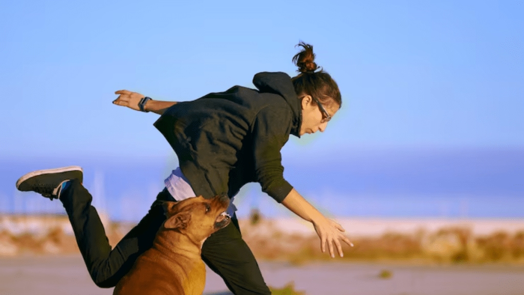 Bengaluru dog chase, Bengaluru news Bengaluru dog chase, Bengaluru news