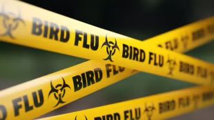 Delhi’s National Zoological Park closes after two painted storks test positive for H5N1 bird flu. Read on to know precautionary measures you must take to stay safe.